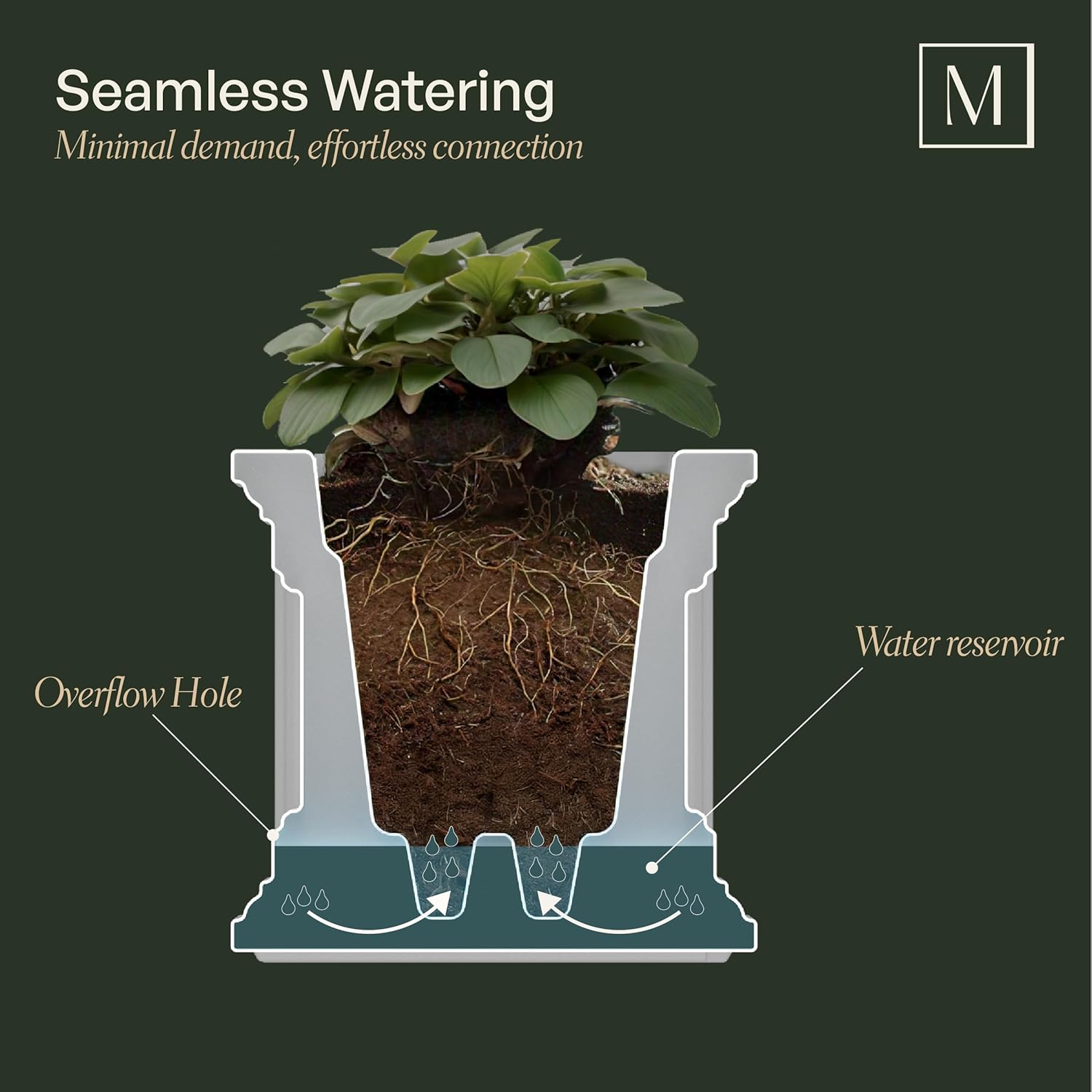 Mayne Nantucket 5-Foot Window Box – Self-Watering, Weather-Resistant Planter for Flowers – Durable Design for Outdoor Use, Perfect for Windows