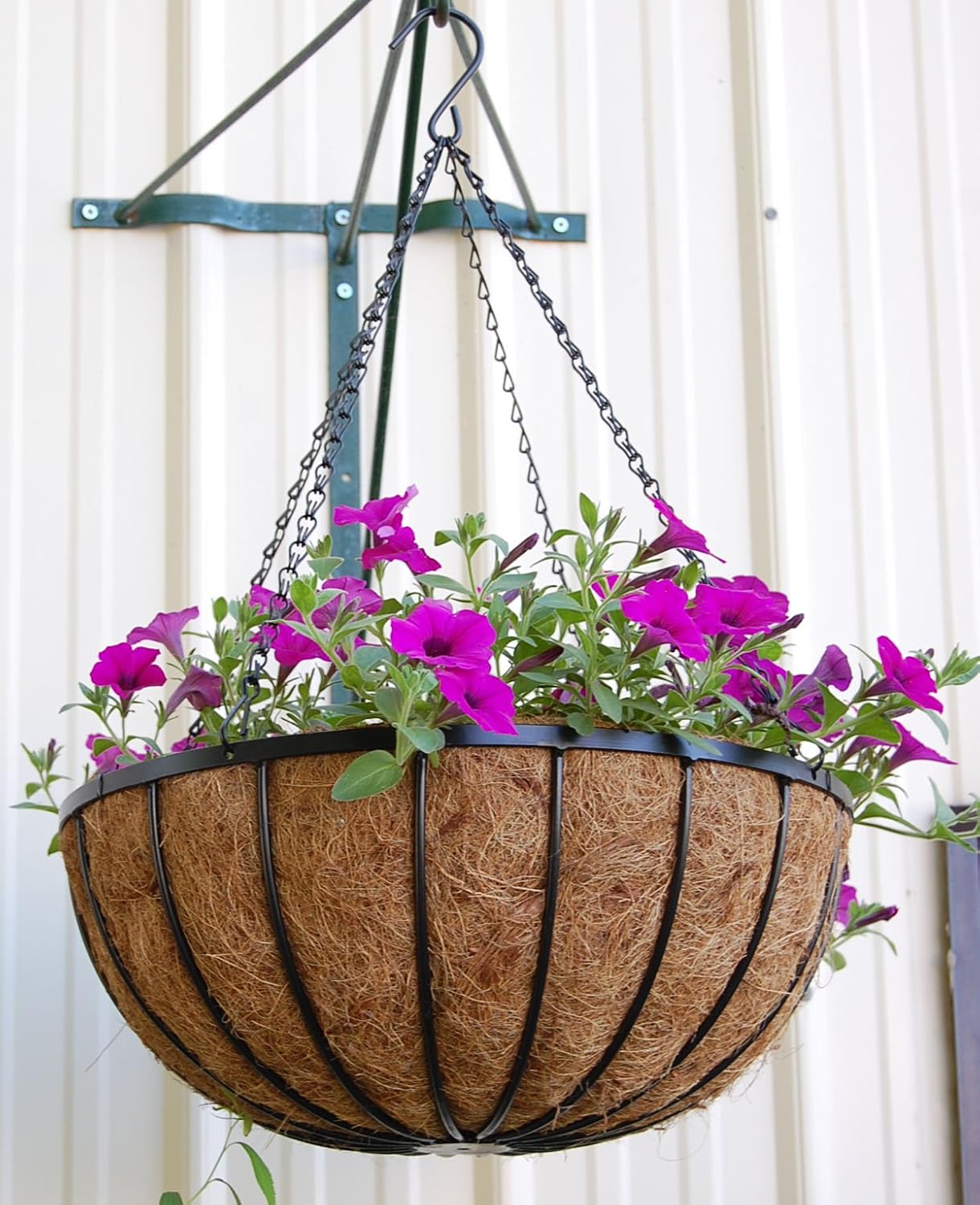 Georgian Style Hanging Planter - 24 Inch Diameter - 5 Sets
